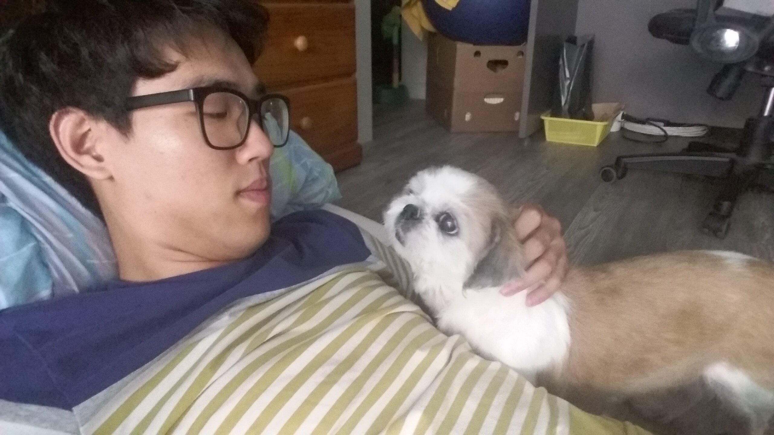 꽃나라이야기 이미지