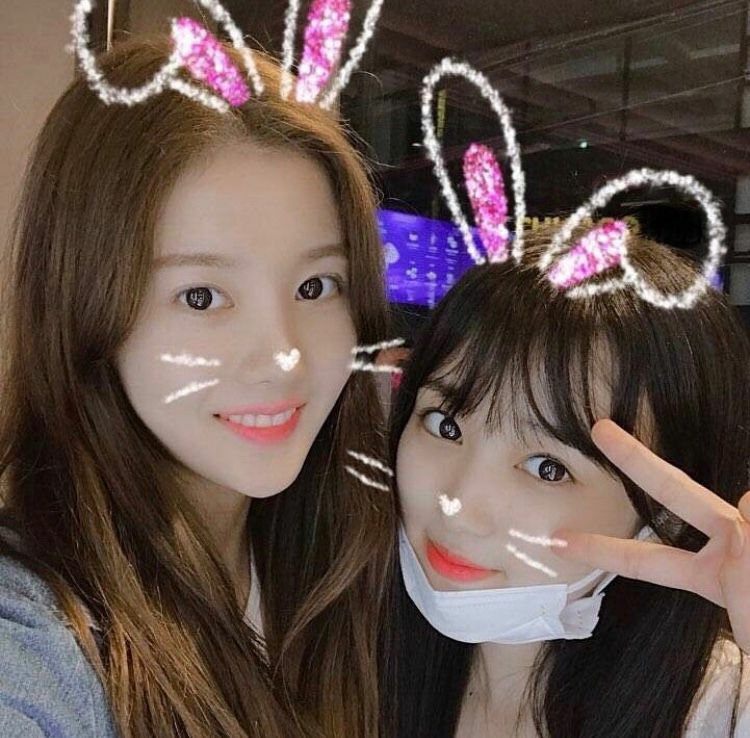 원아이스크림 이미지