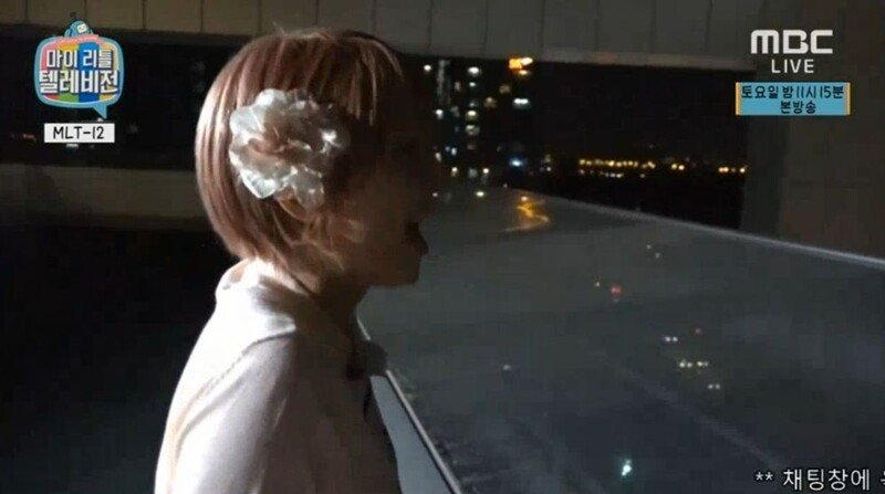 초아유통 이미지