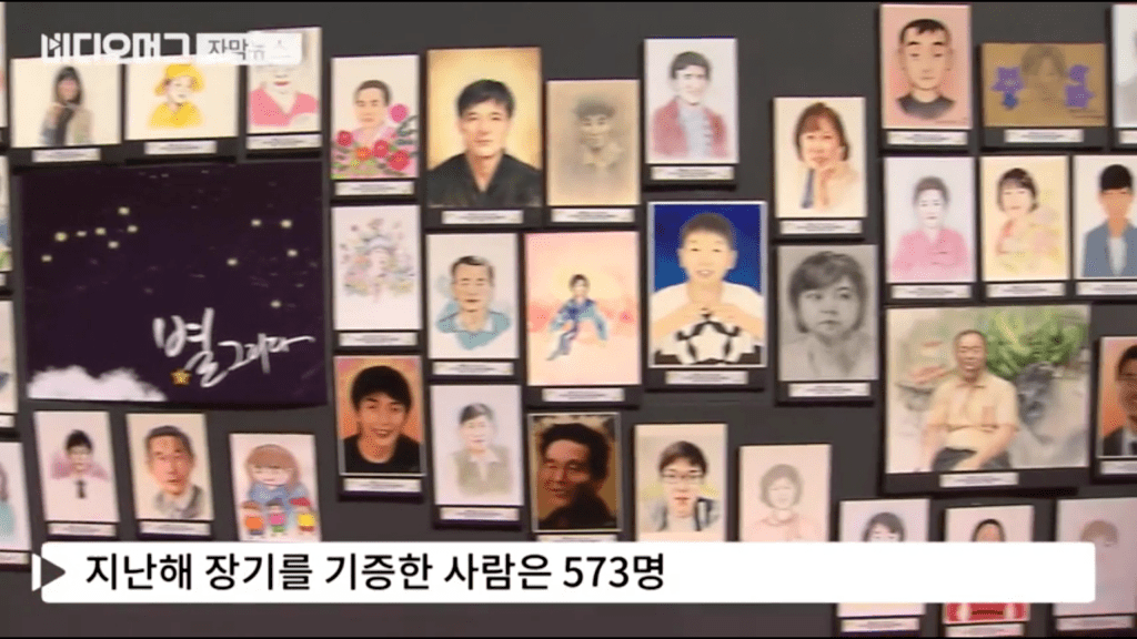 정신이나갔나씹새끼가 Swf Youtube