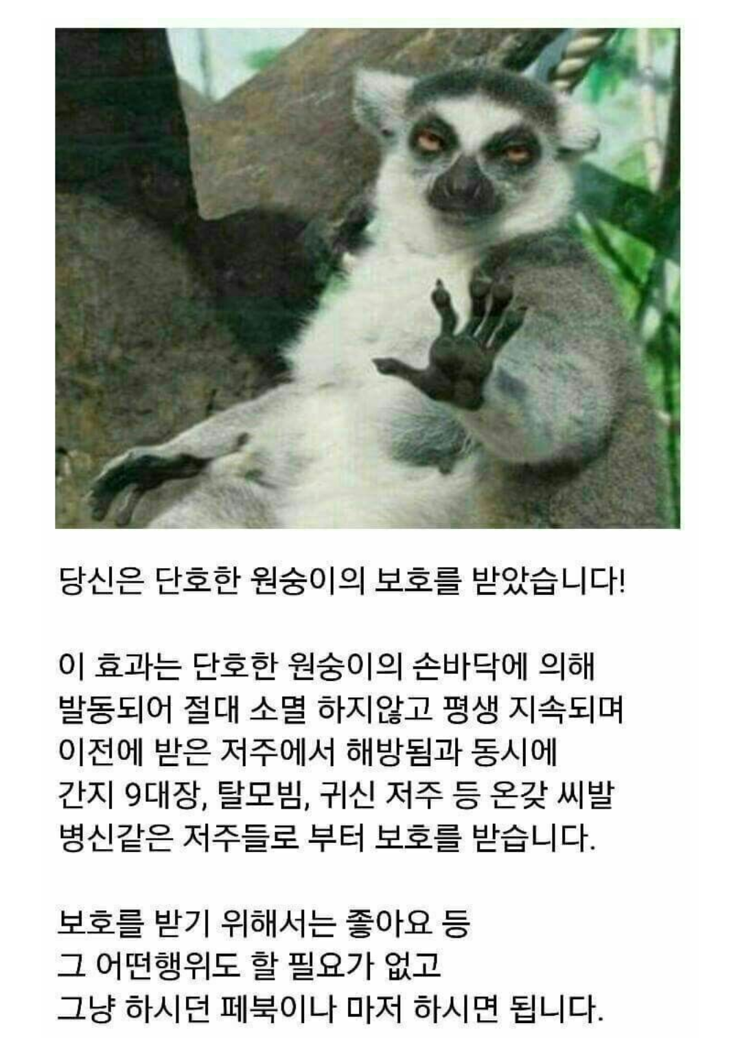 속보 저주 푸는법 발견 Lol 인벤