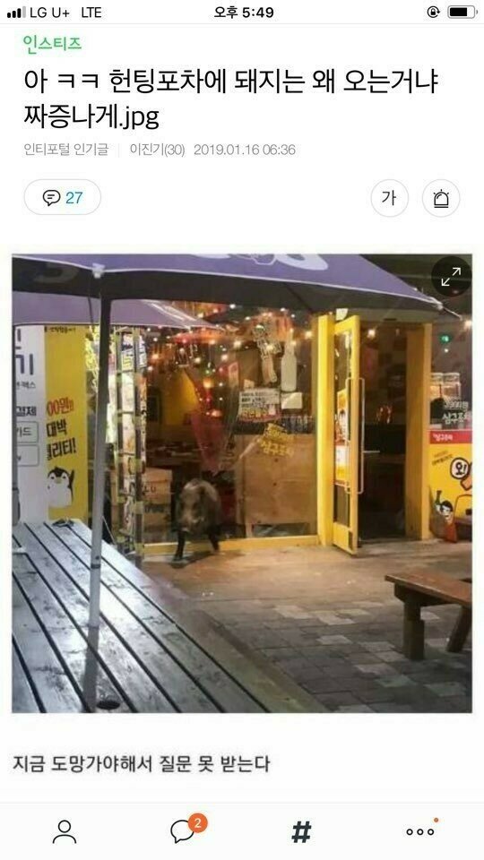 갤러리포차 이미지
