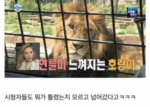 더오타임 이미지