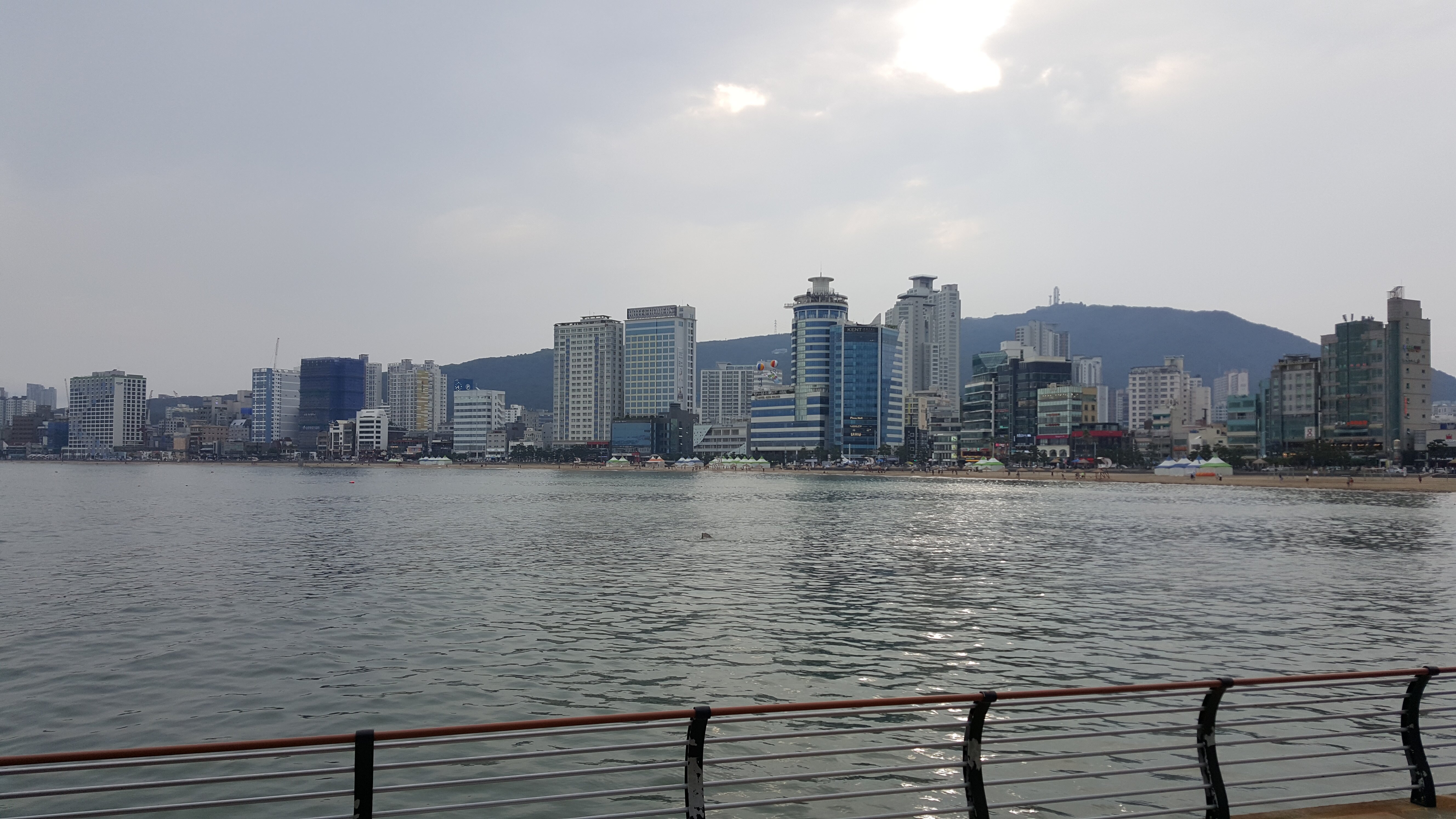 검은사막 인벤 : 광안리는 횟집 어디가ㅠ괜찮죠? - 검은사막 인벤 자유게시판