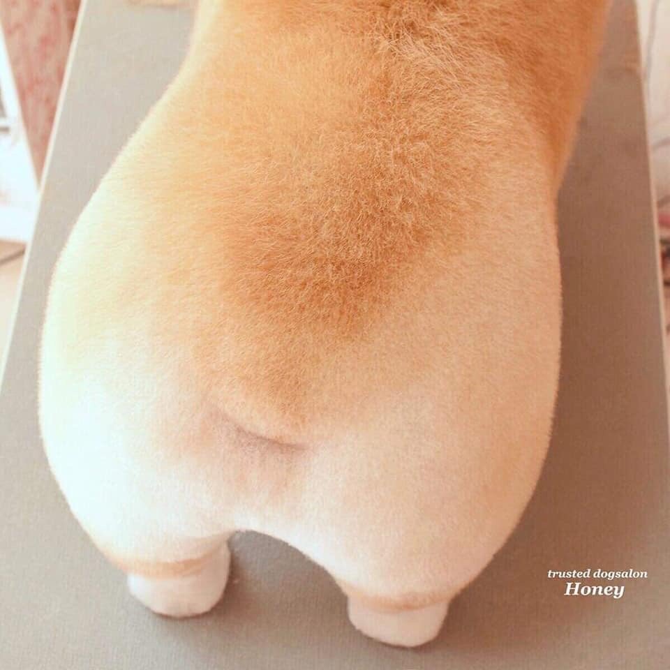 막내PC방 이미지