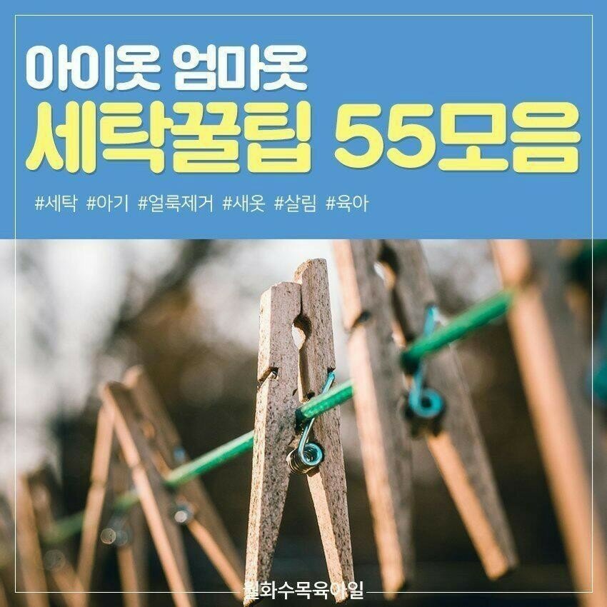 세탁갤러리 이미지