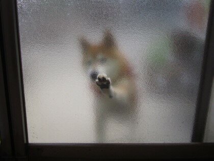 큐브PC방 이미지