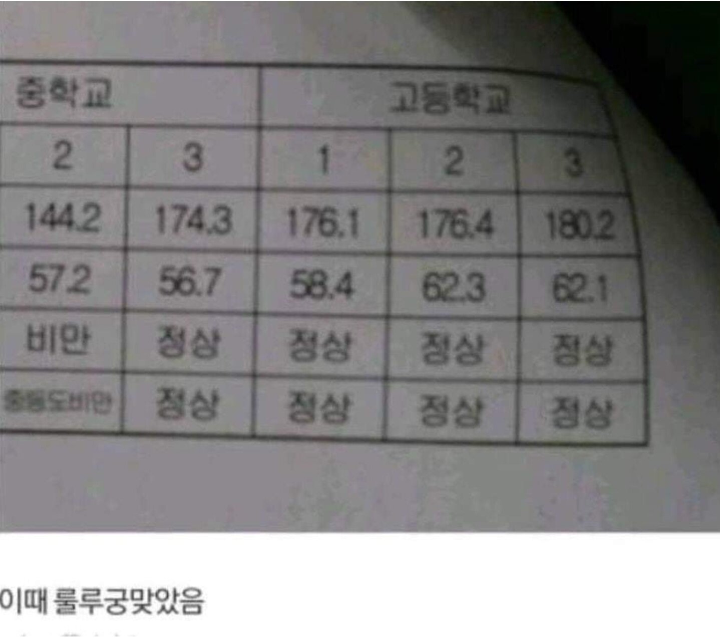 룰루PC 이미지