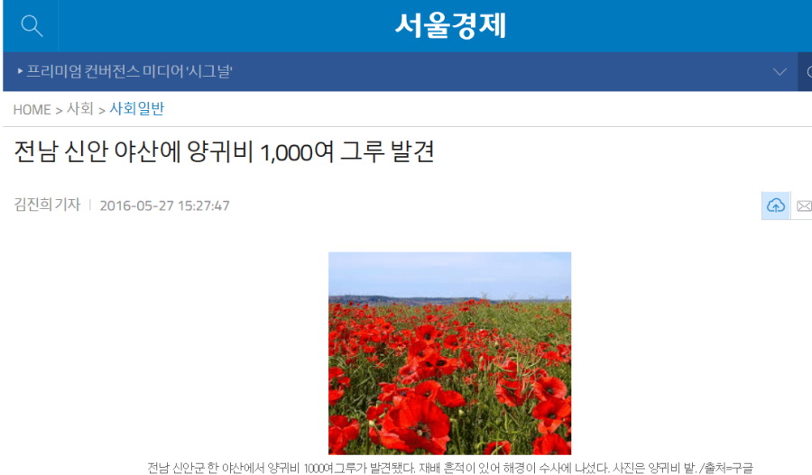 전남 신안 레전드 | 웹진 인벤 - 인벤 전남 신안 레전드 | 웹진 인벤