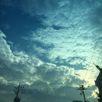 파란PC방 이미지