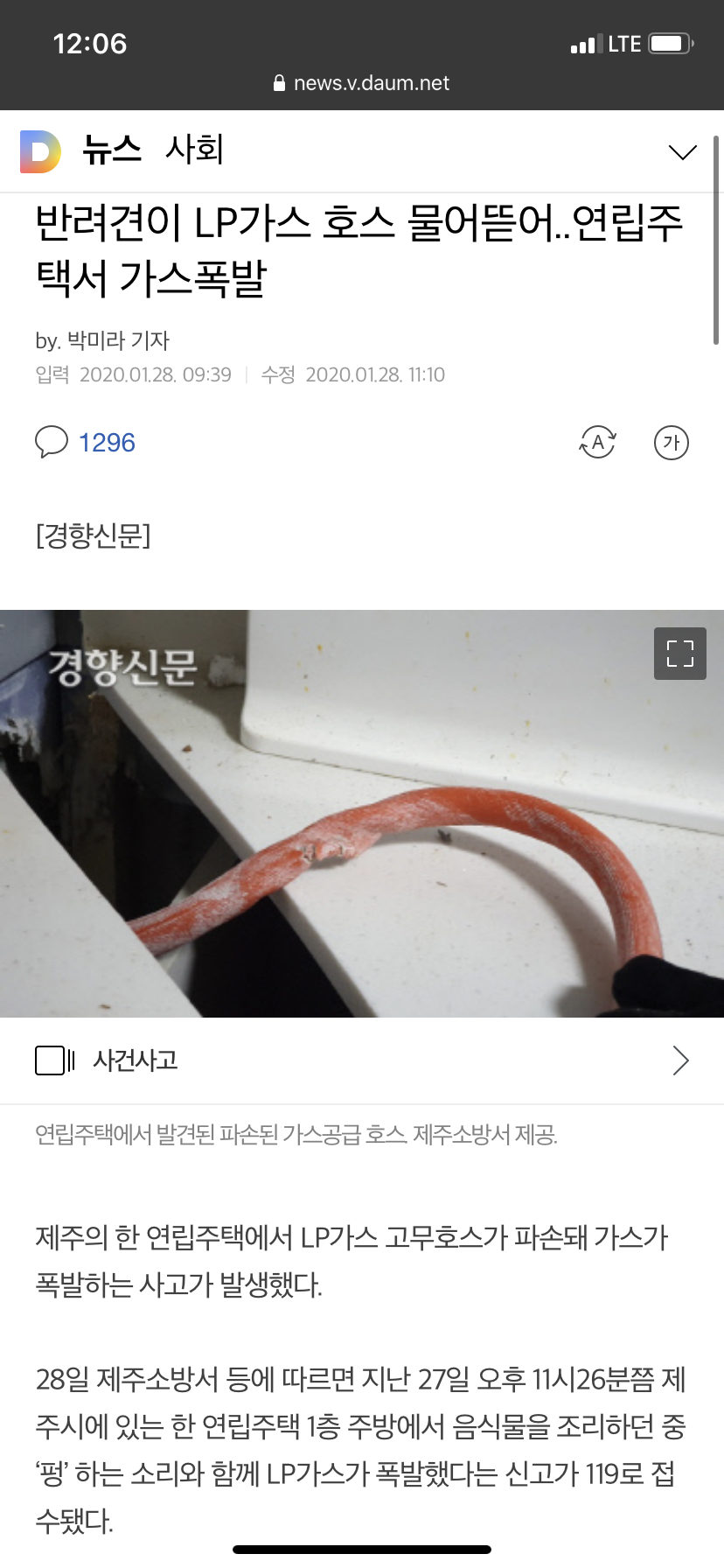 오버워치 인벤 : 강아지가 가스 호스 물어뜯어 가스폭발.. - 오버워치 인벤 자유게시판