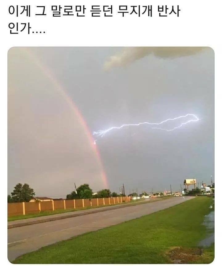 무지개그래픽 이미지